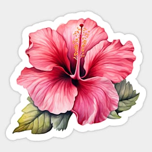 Pink Hibiscus Flower Watercolor Sticker